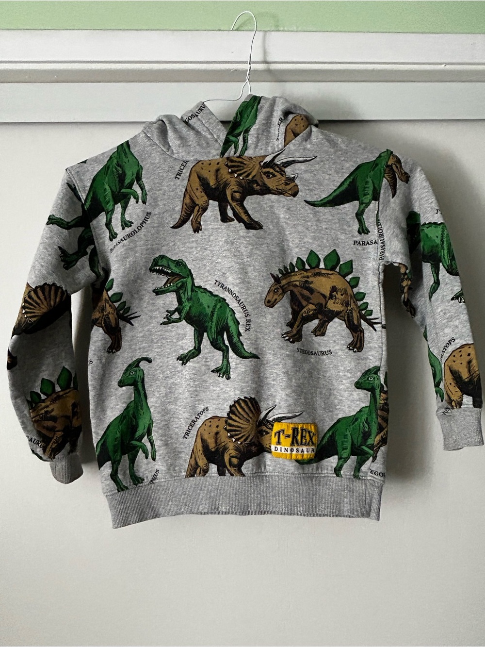 H&M Gray Hoodie with Green & Brown Dinosaur Print
